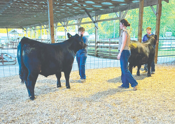 Mifflin County Beef Club meets